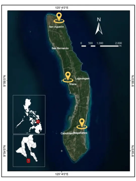 Vulnerability Assessment of Residential Buildings in Limasawa